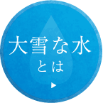 大雪な水とは